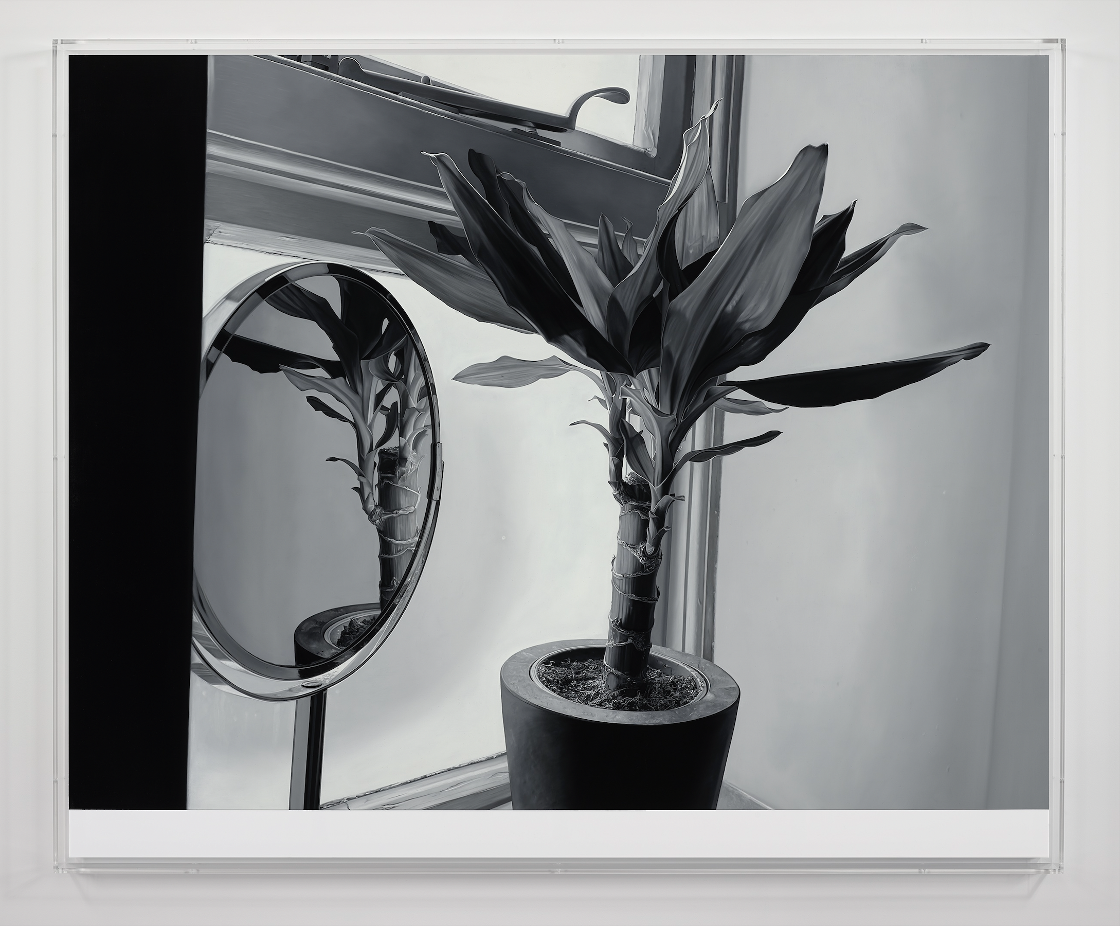 James White: Isola